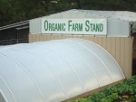 Arizona Retreat - Organic Greenhouse