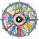 Iridology Chart