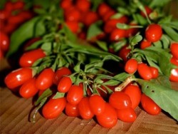 Superfood Goji Berries Vibrant Health